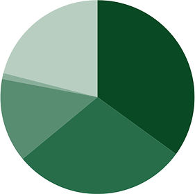 endowment funds by purpose_edited.jpg