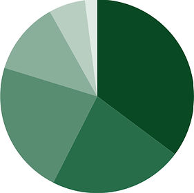 endowment asset allocation